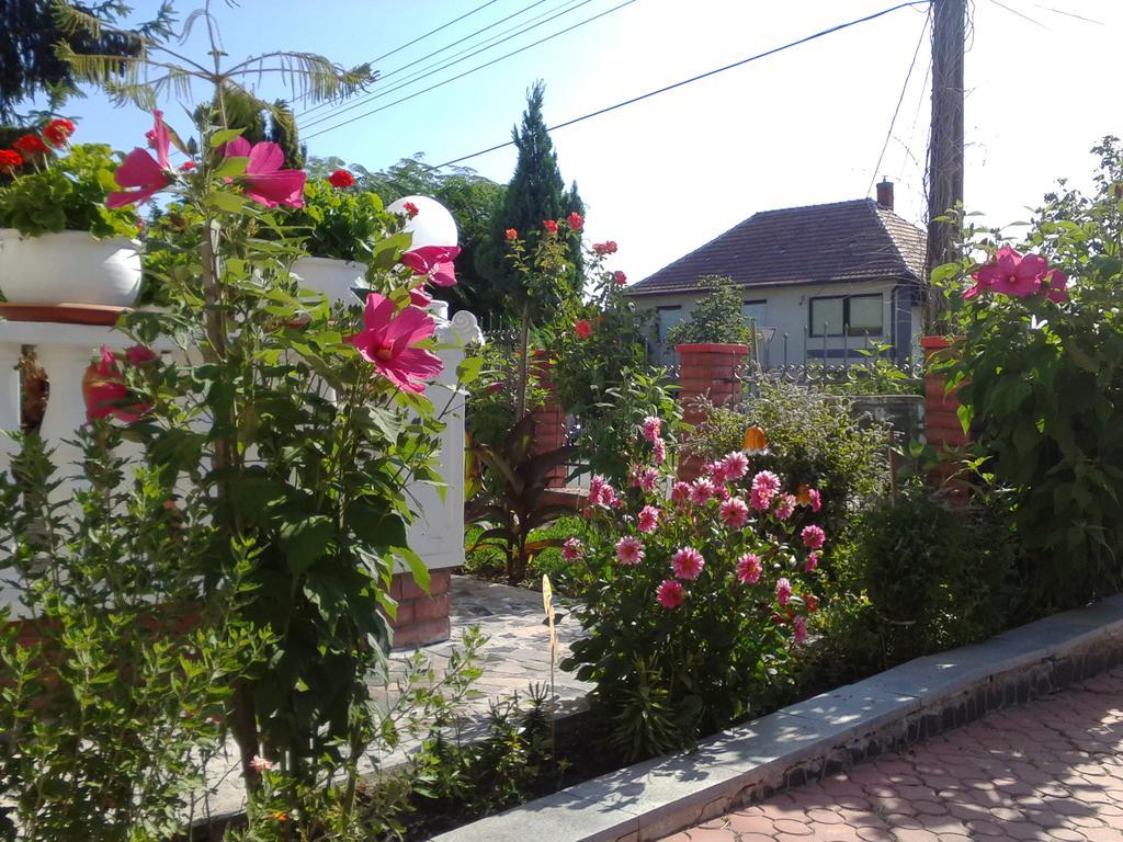 Kristaly Apartman Bed & Breakfast Heviz Luaran gambar